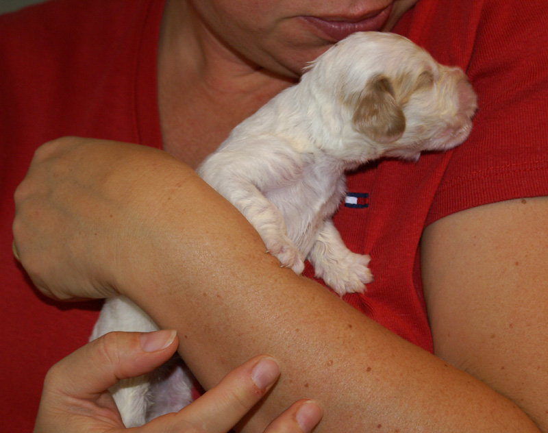 Nasu_babyboy_1week_a