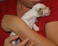 Nasu_babyboy_1week_a