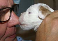 Nasun_pentu_3vkoa_e_1000