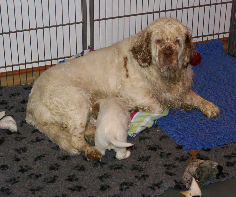 Nasus_son_5weeks_xxx