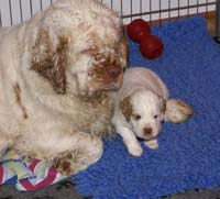 Nasus_son_5weeks_xxxx