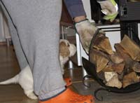 SpiceTwiceAngelo_6weeks_l