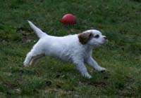 SpiceTwiceAngelo_7weeks_j