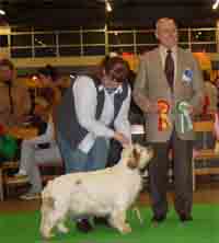 SPICE TWICE RADIANT ROSEMARY